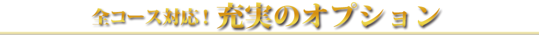 全コース対応！充実のオプション